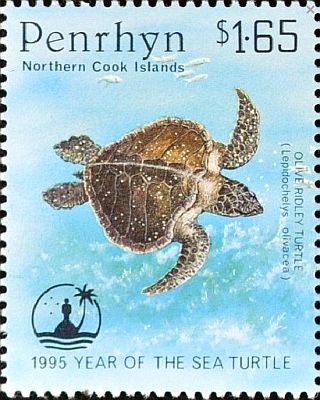 1995 - Черепахи  
