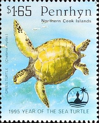 1995 - Черепахи  