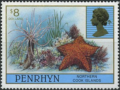 1997 - Морская фауна 