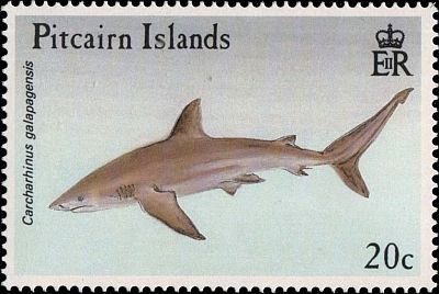 1992 - Акулы 