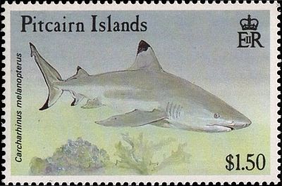 1992 - Акулы 