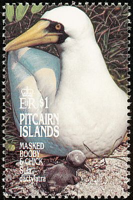 1995 - Птицы