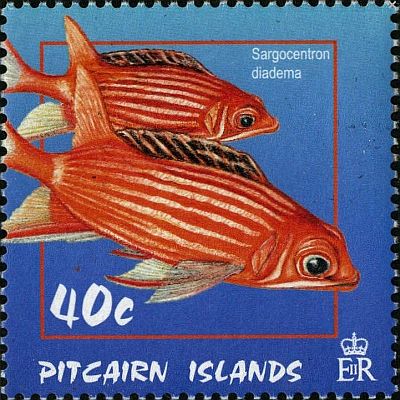 2003 - Рыбы-белки