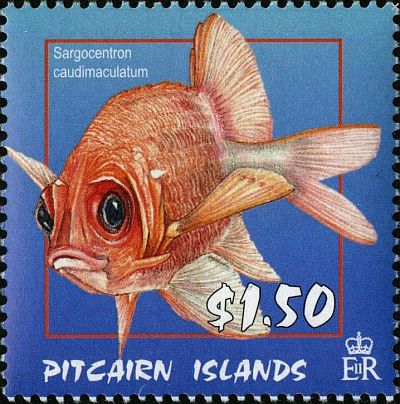 2003 - Рыбы-белки