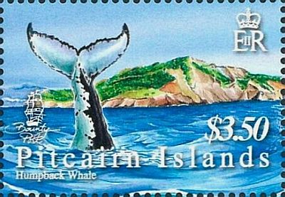 2006 - Горбатый кит