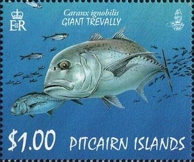 2007 - Океанские рыбы