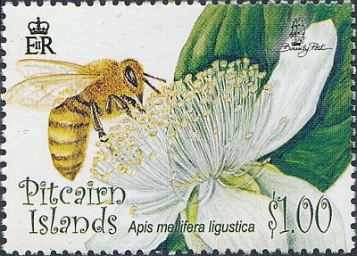 2008 - Пчелы. Птицы