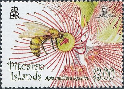 2008 - Пчелы. Птицы