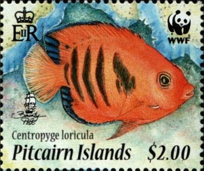 2010 - WWF. Рыбы