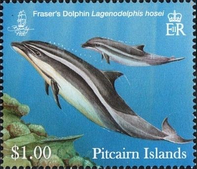 2012 -  Дельфины