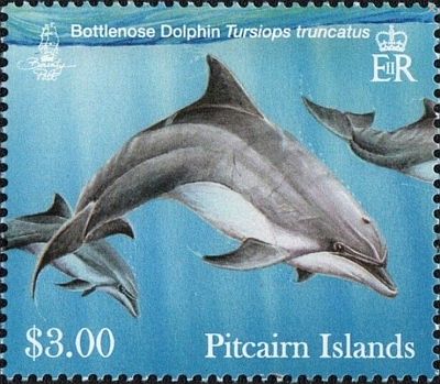2012 -  Дельфины