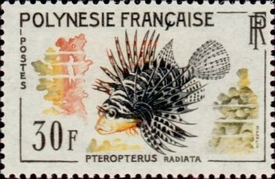 1962 - Рыбы.  
