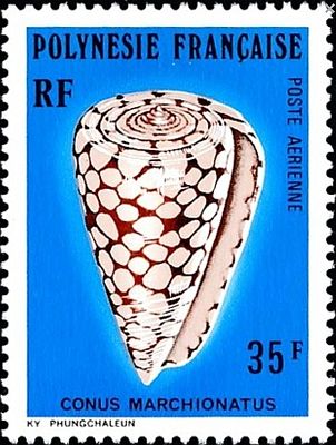 1977 - Раковины.  