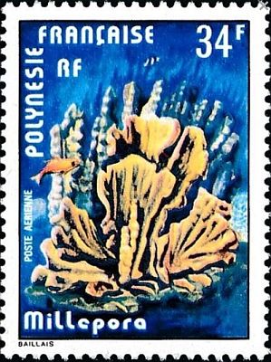 1978 - Коралы.  