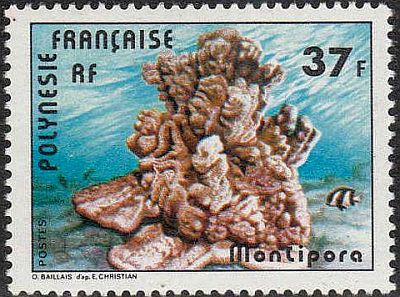 1979 - Коралы.  