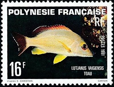 1981 - Рыбы.  
