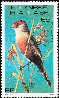 1981 - Птицы.  