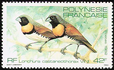 1981 - Птицы.  