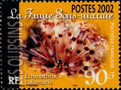 2002 - Морская фауна