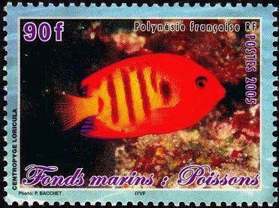 2005 - Рыбы