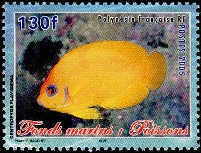2005 - Рыбы