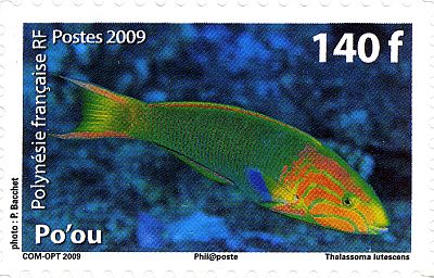 2009 - Рыбы