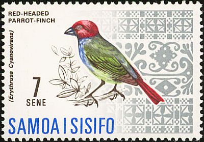 1967 - Птицы