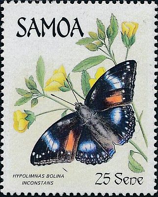 1986 - Бабочки