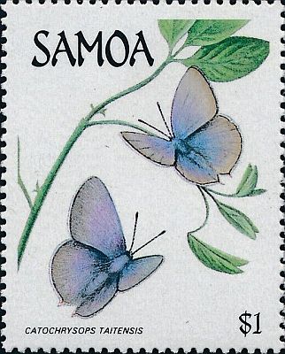 1986 - Бабочки