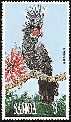 1991 - Попугаи