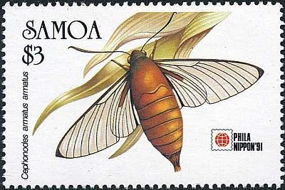 1991 - Бабочки