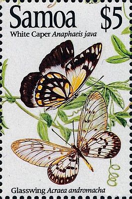 1994 - Бабочки