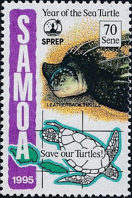 1995 - Морские черепахи