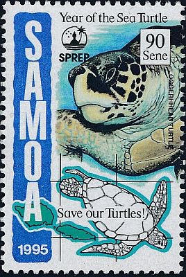 1995 - Морские черепахи