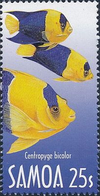 2003- Рыбы 