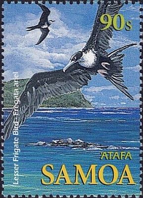2004- Морские птицы 