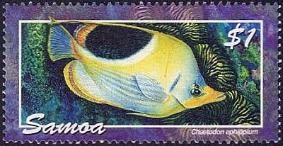 2004- Рыбы 