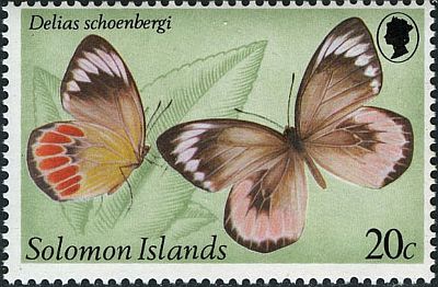 1980 - Бабочки .  