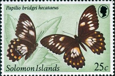 1982 - Бабочки .  