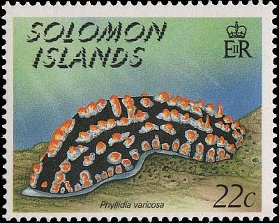 1989 - Голожаберные моллюски 