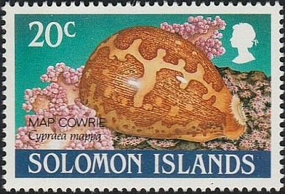1990 - Голожаберные моллюски 