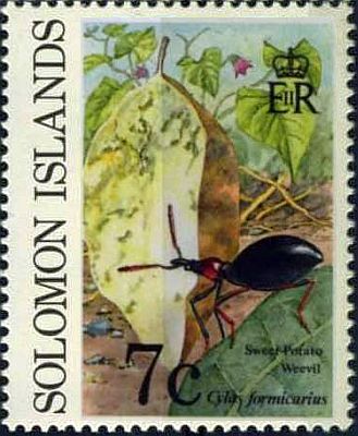 1991 - насекомые 