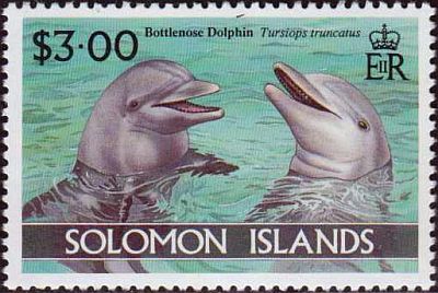 1994 - Дельфины 
