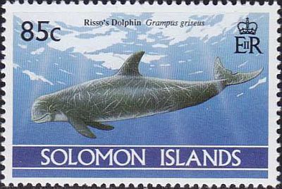 1994 - Дельфины 