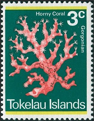 1973 - Кораллы  
