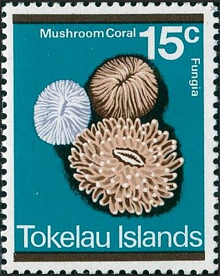 1973 - Кораллы  