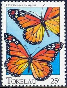 1995 - Бабочки