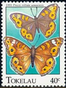 1995 - Бабочки