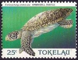 1995 - Черепахи 