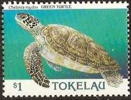 1995 - Черепахи 